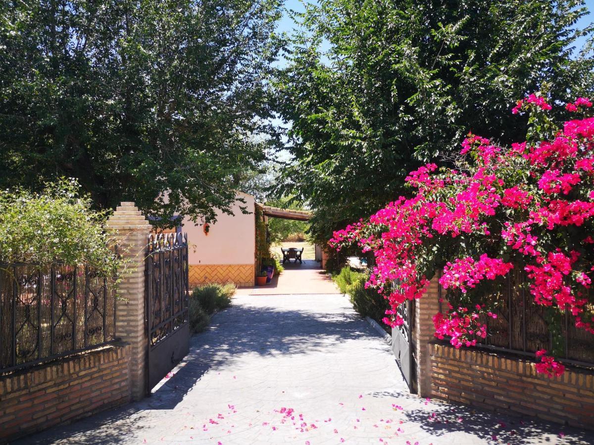 Casa Los Jinetes Carmona  Exterior photo