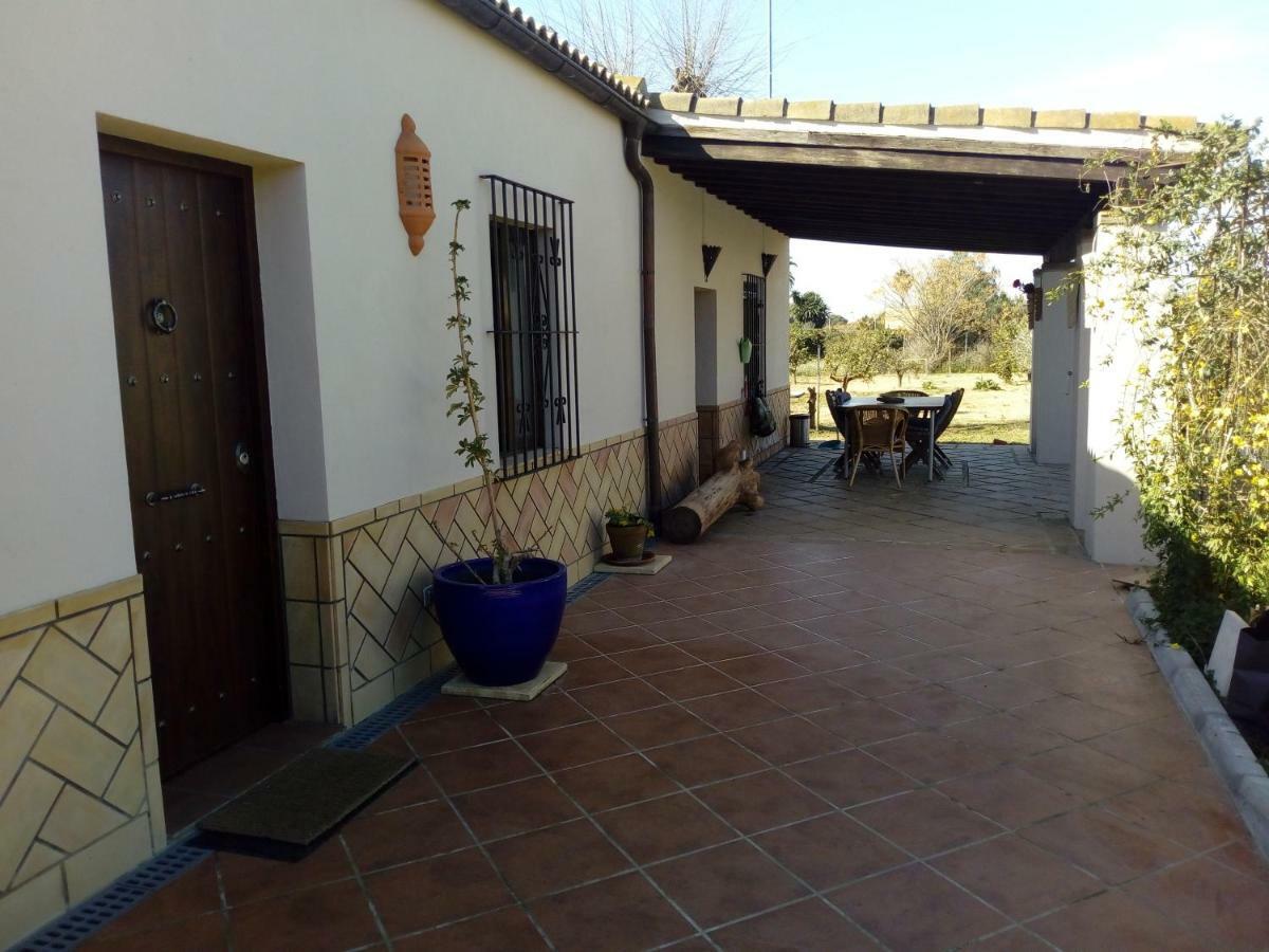 Casa Los Jinetes Carmona  Exterior photo